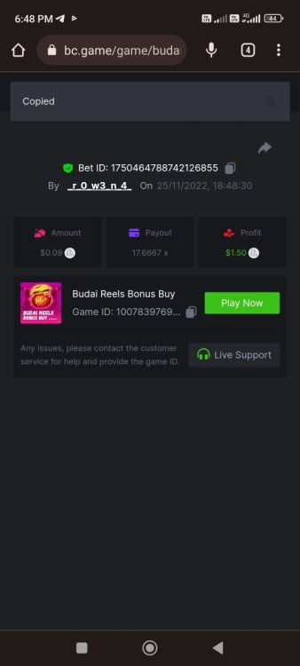 Screenshot_2022-11-25-18-48-56-884_com.android.chrome.jpg